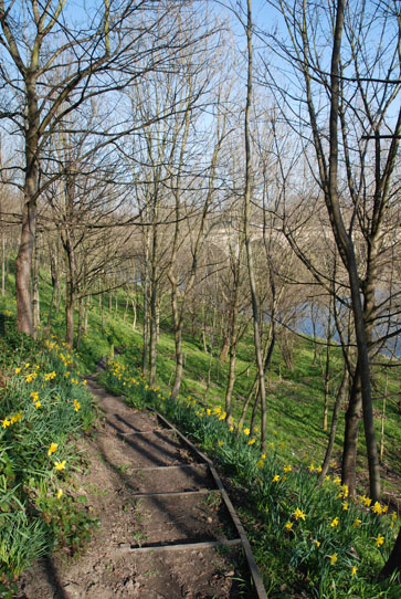 coldstream_path Path to the river at Coldstream