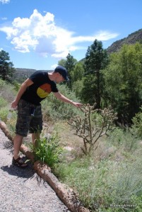 Paul_cactus Paul meets cactus